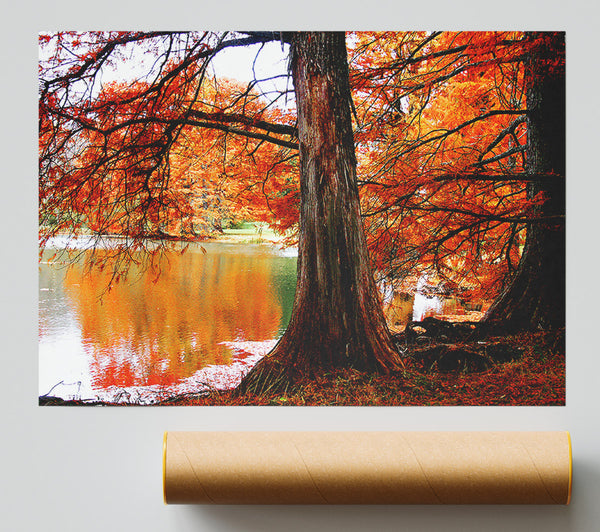 Autumn Orange River Reflections Giclee Print