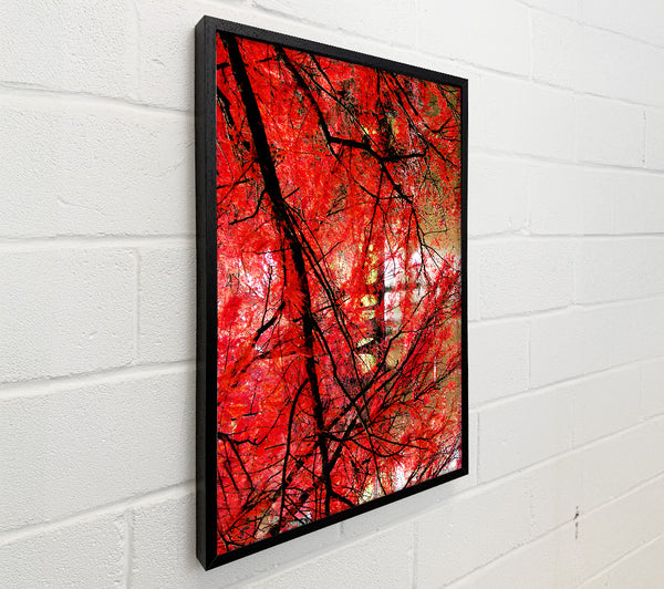 Red Autumn Trees