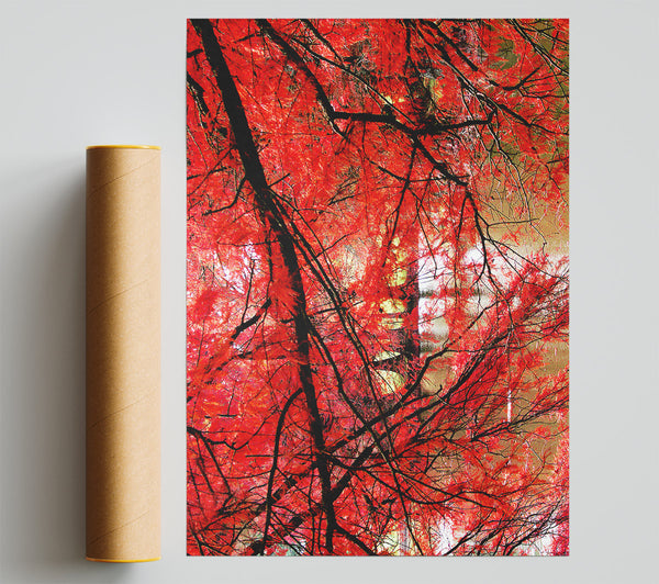 Red Autumn Trees Giclee Print