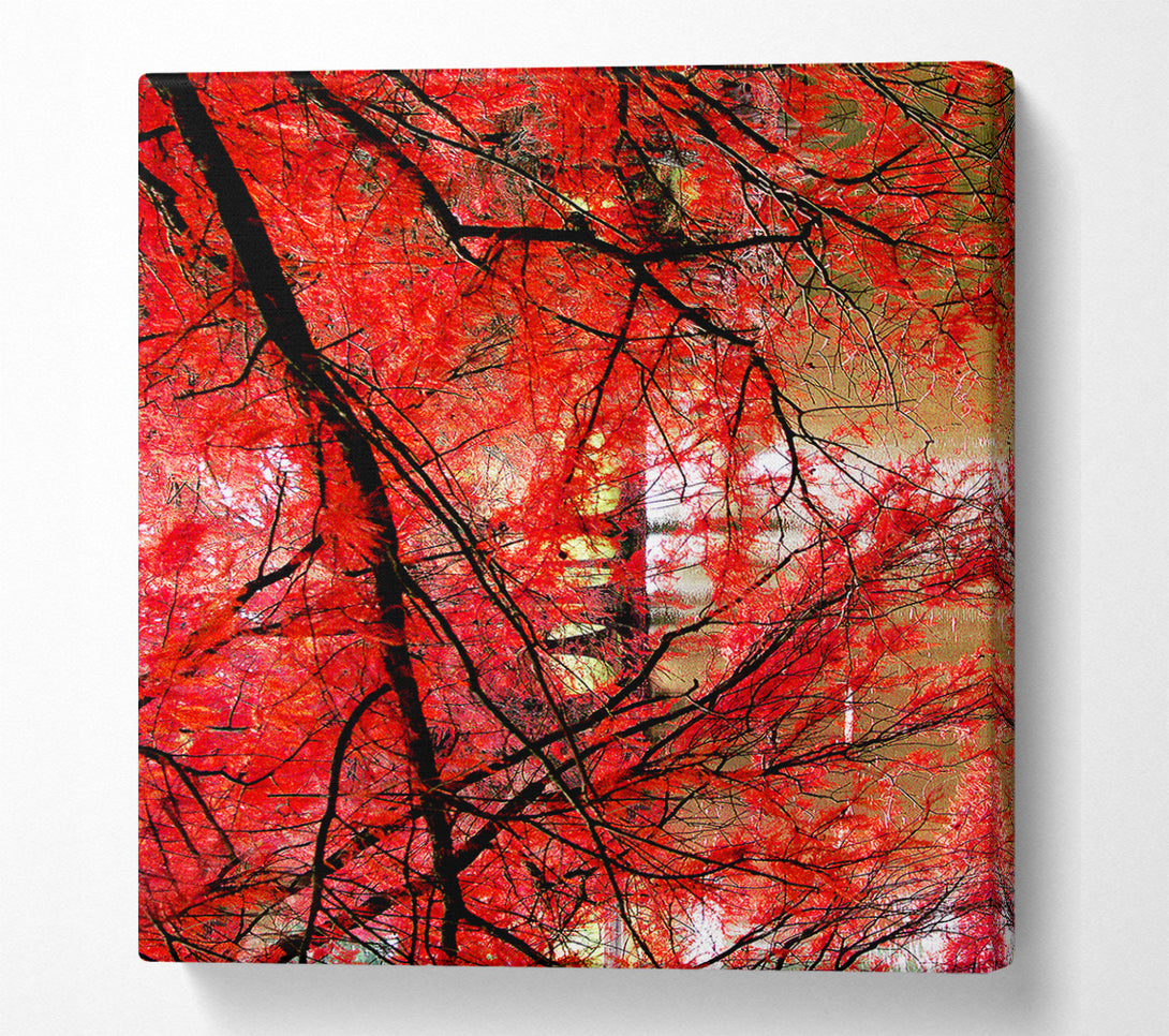  A Canvas Print of Red Autumn Trees Canvas Art