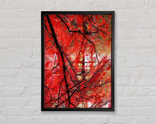 Red Autumn Trees Framed Print
