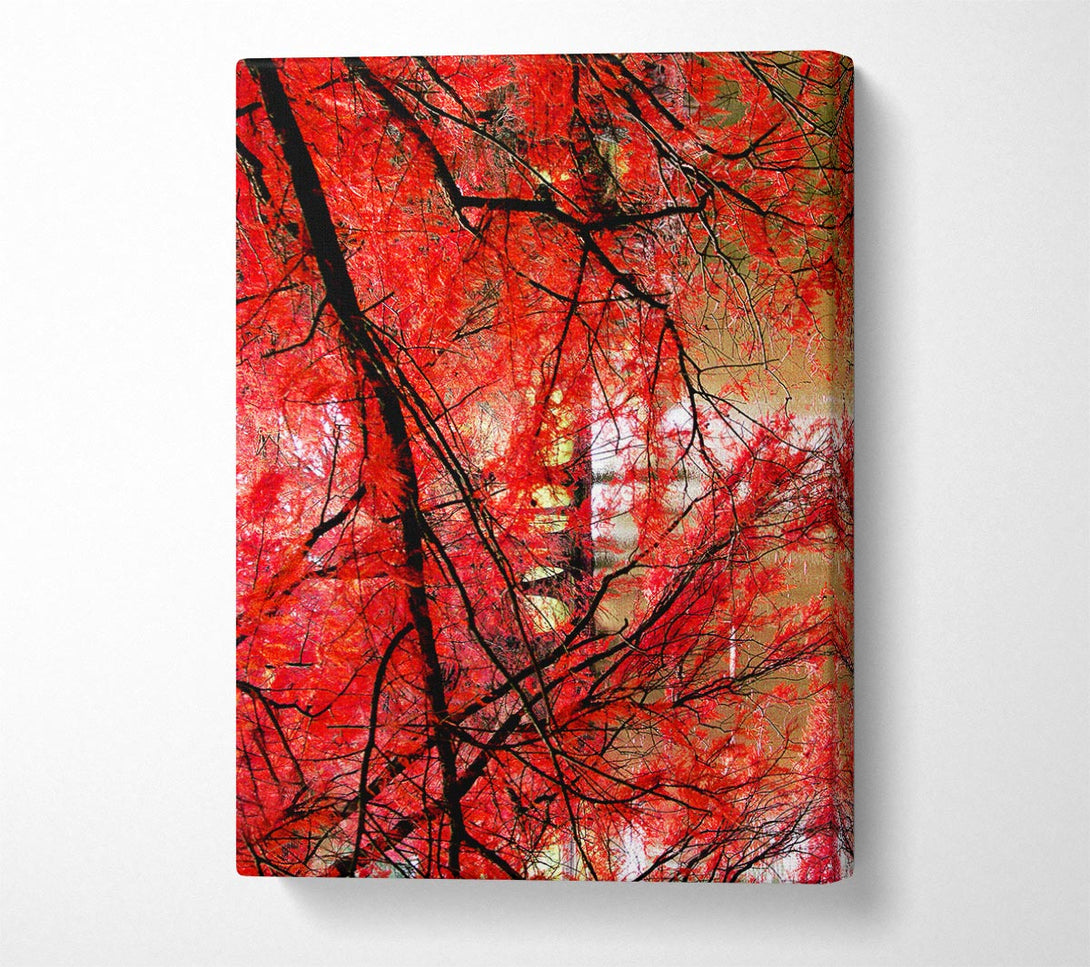  A Canvas Print of Red Autumn Trees Canvas Art