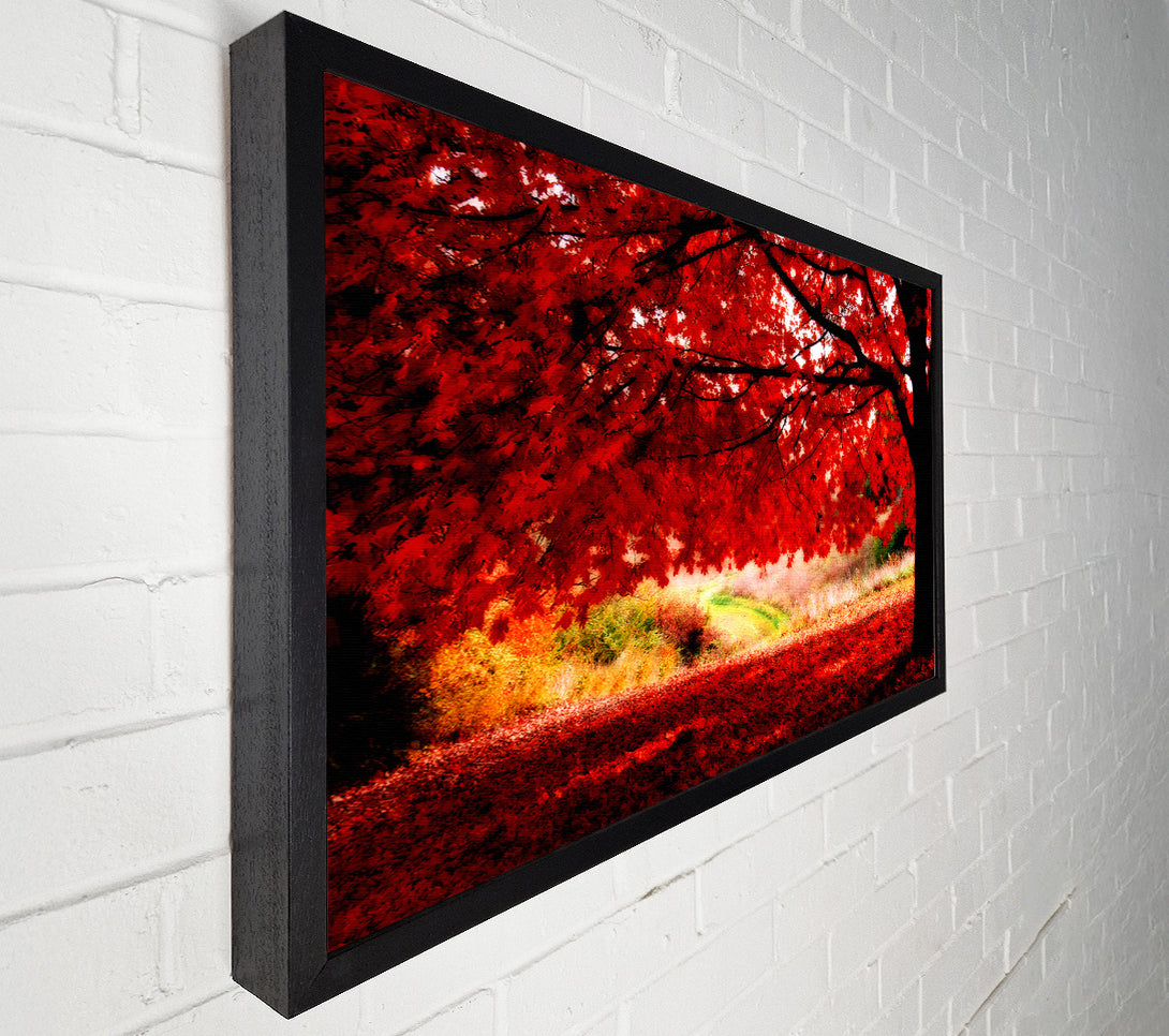  A Canvas Print of Red Autumn Tree Canvas Art
