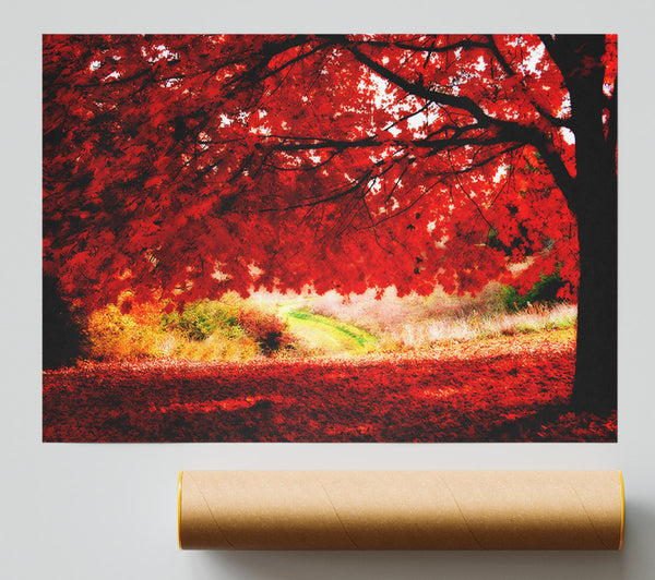 Red Autumn Tree Poster