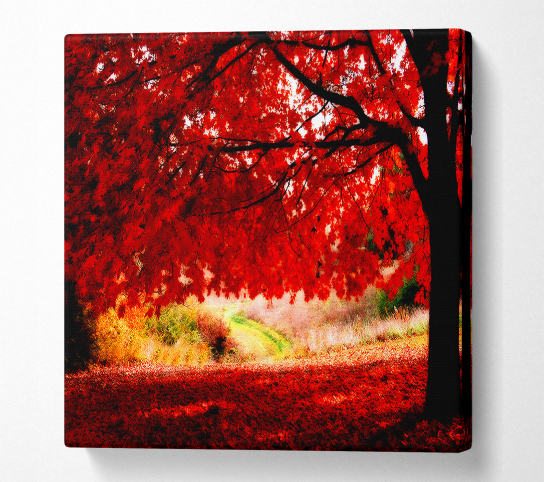  A Canvas Print of Red Autumn Tree Canvas Art