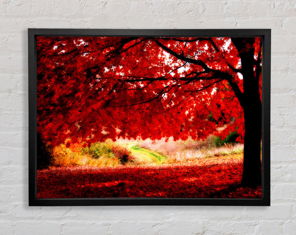Red Autumn Tree Framed Print