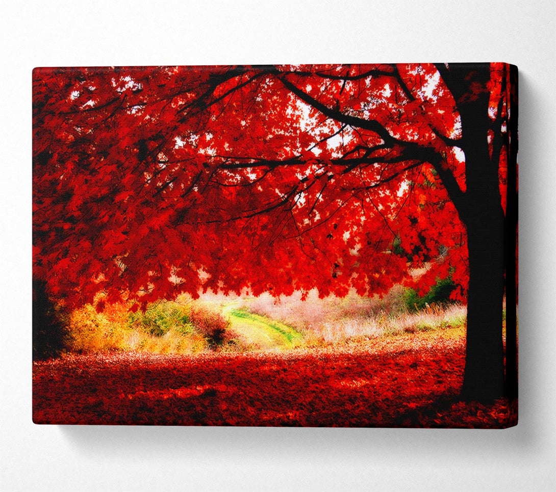  A Canvas Print of Red Autumn Tree Canvas Art