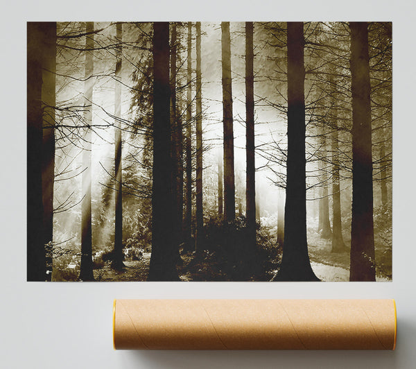 Secret Forrest Poster