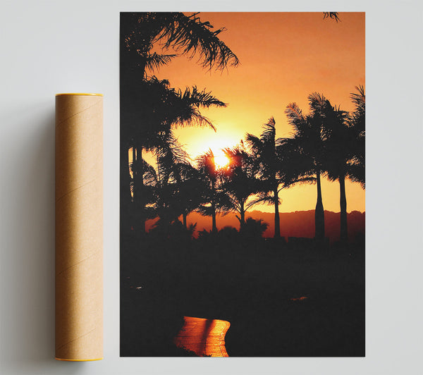 Orange Palm Tree Sun Glow Giclee Print