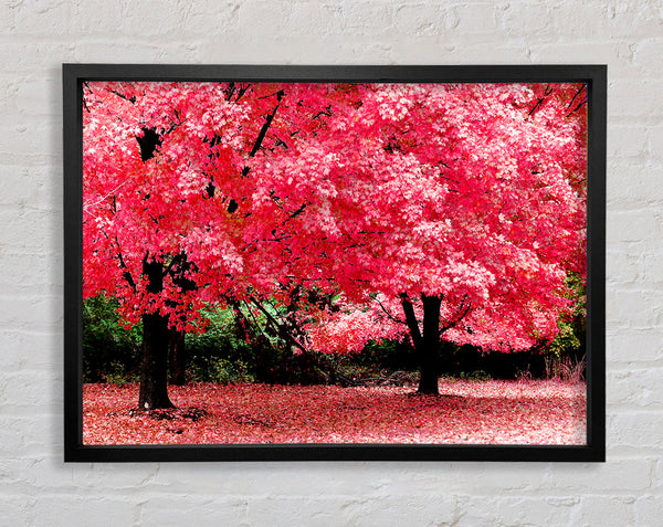 Pink Tree Heaven Framed Print