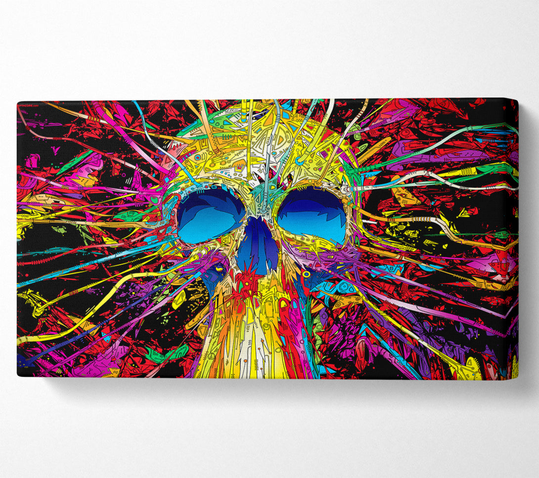  A Canvas Print of Skulls Colorful Canvas Art