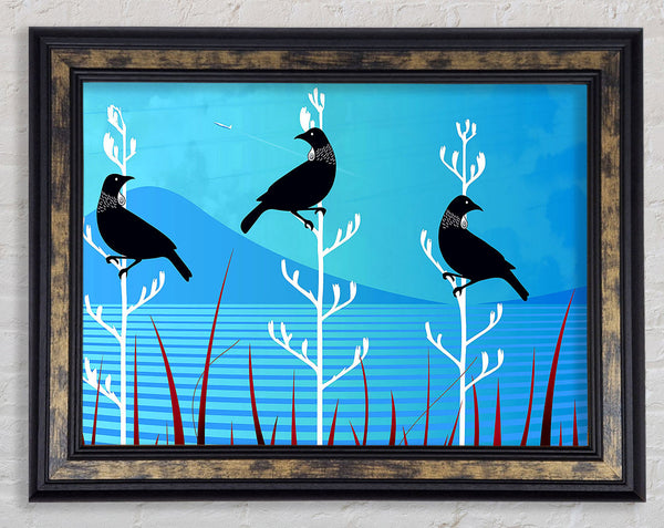 Tui Birds Framed Print
