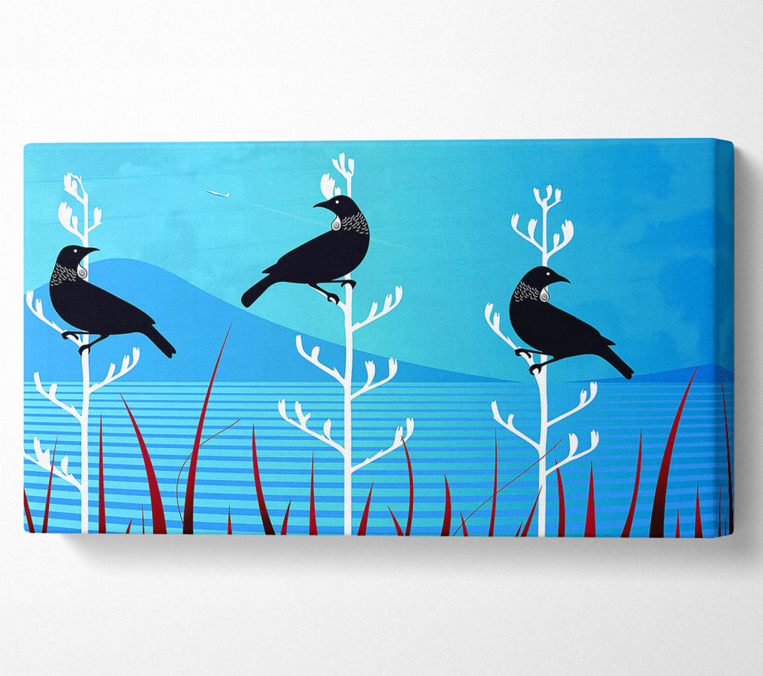  A Canvas Print of Tui Birds Canvas Print