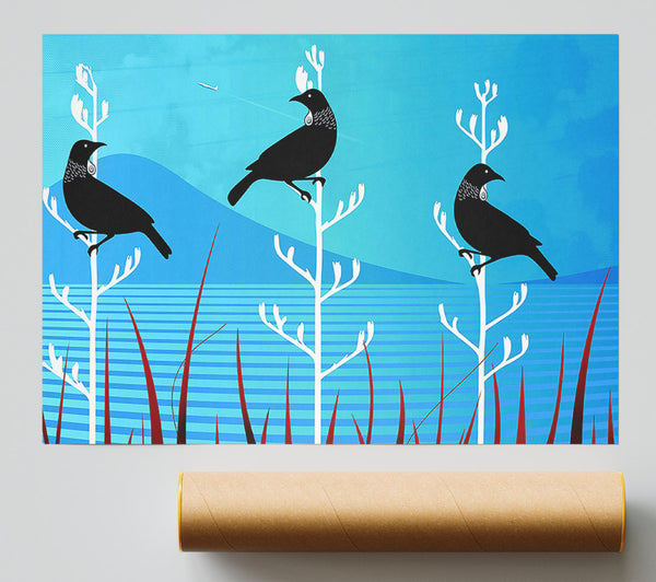 Tui Birds Print
