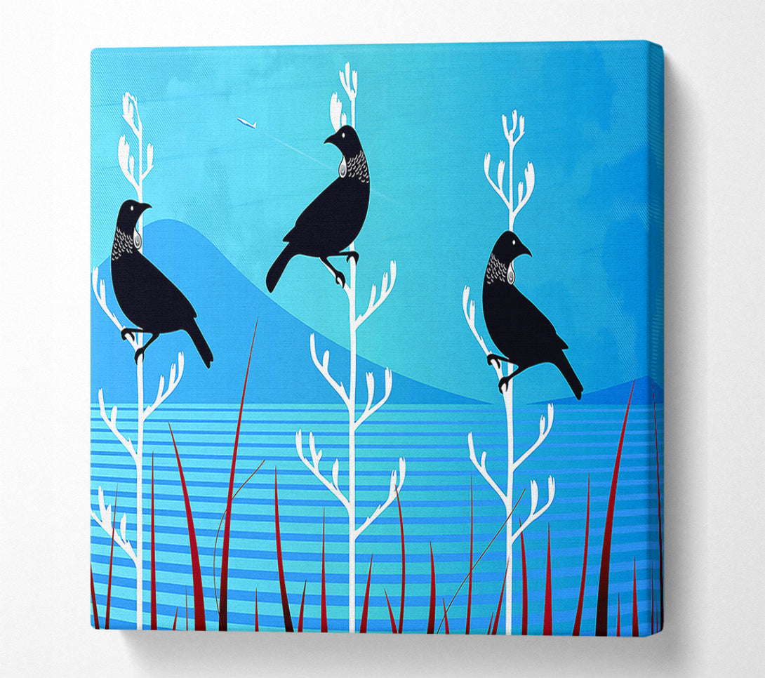  A Canvas Print of Tui Birds Canvas Print