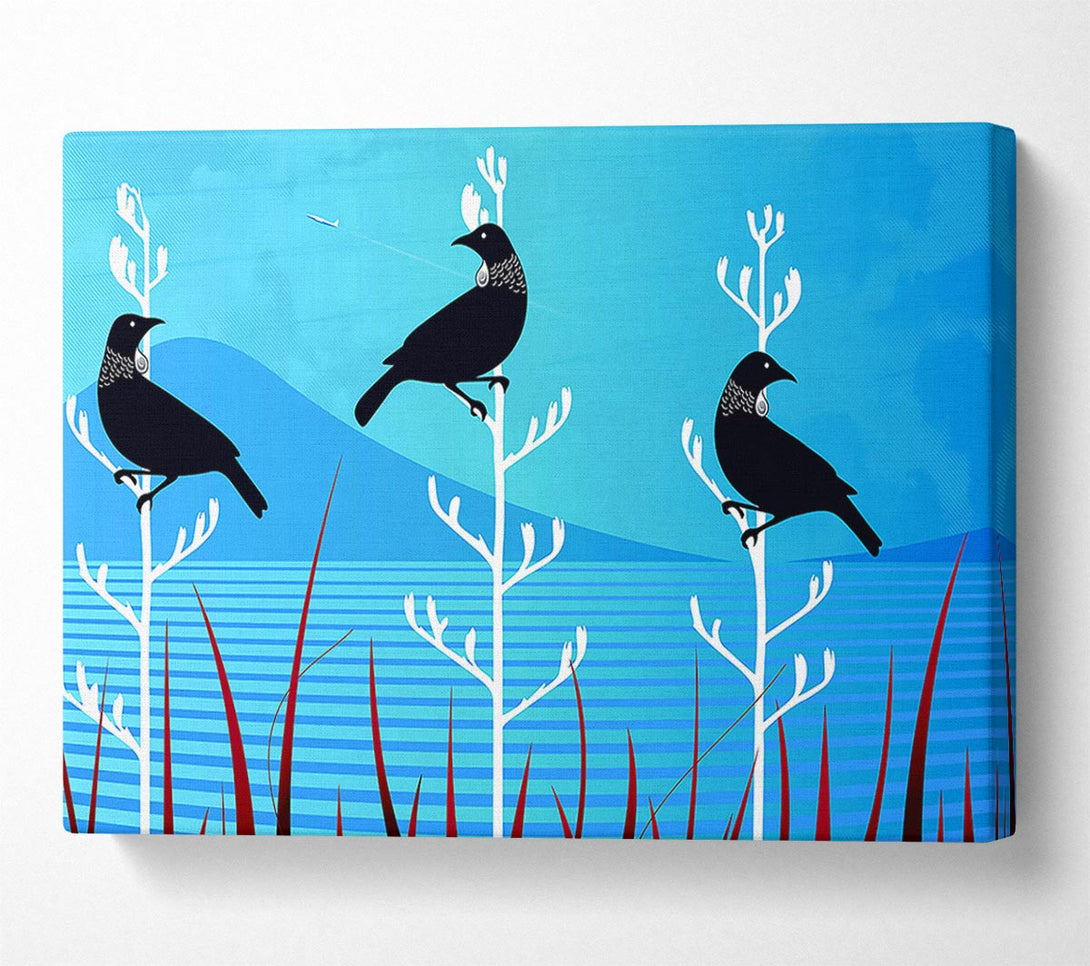  A Canvas Print of Tui Birds Canvas Print