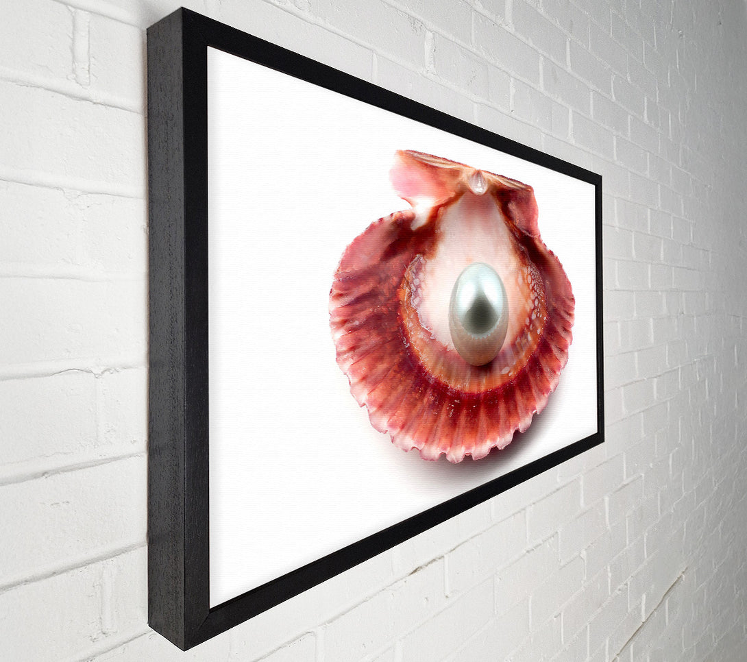 A Canvas Print of Pearl Canvas Print
