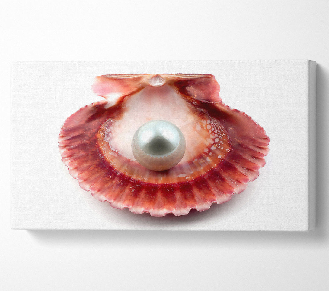 A Canvas Print of Pearl Canvas Print