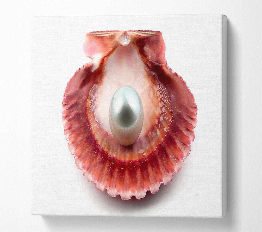  A Canvas Print of Pearl Canvas Print
