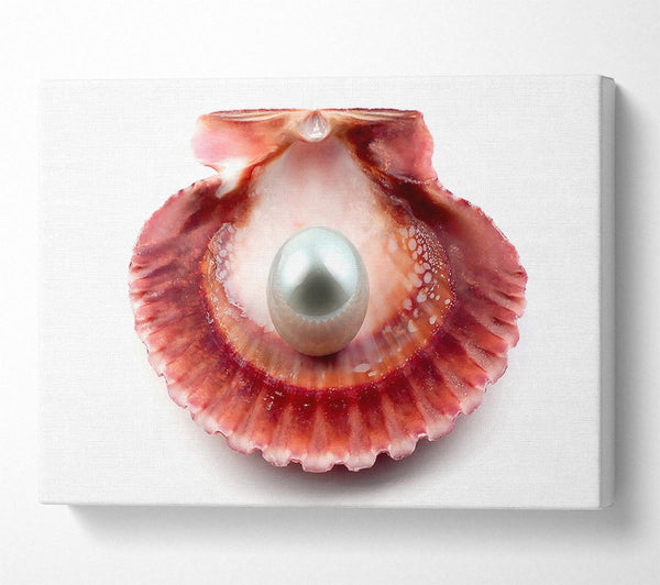  A Canvas Print of Pearl Canvas Print