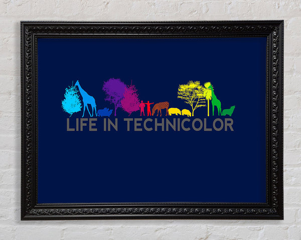 Life In Technicolor Framed Print