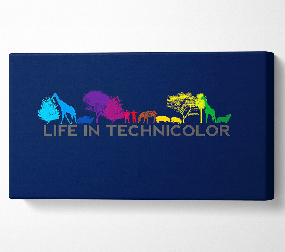  A Canvas Print of Life In Technicolor Canvas Print