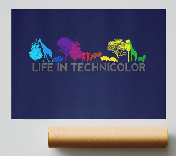 Life In Technicolor Poster