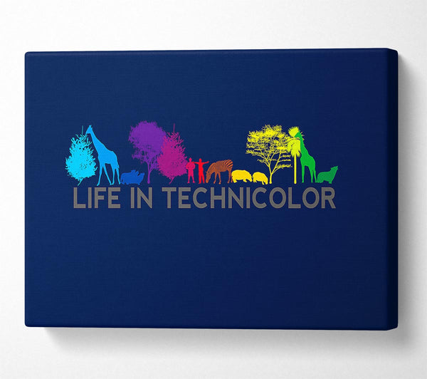  A Canvas Print of Life In Technicolor Canvas Print