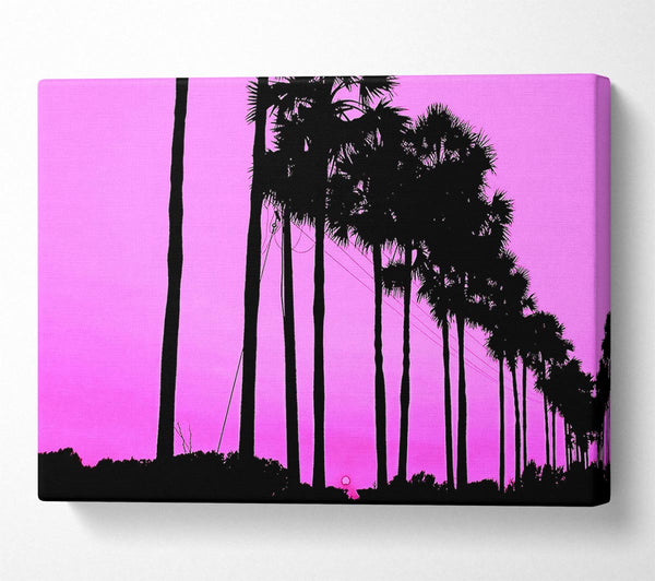  A Canvas Print of Cute Trees Canvas Art