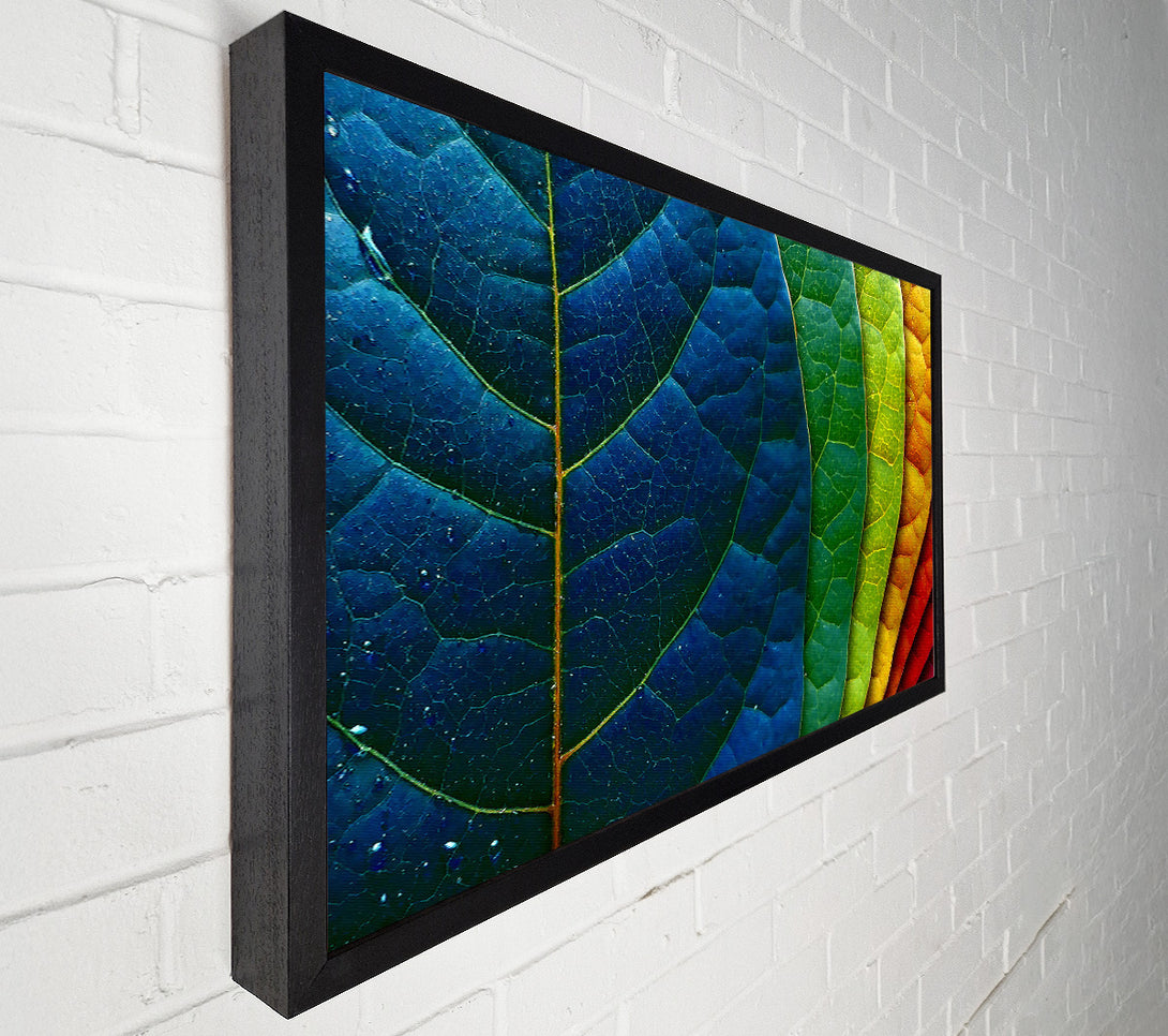  A Canvas Print of Colourful Leaves Canvas Wall Art