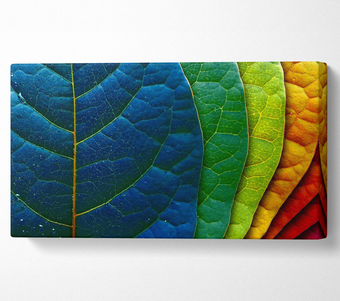  A Canvas Print of Colourful Leaves Canvas Wall Art