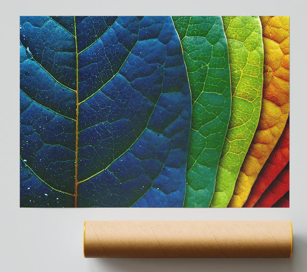 Colourful Leaves Print