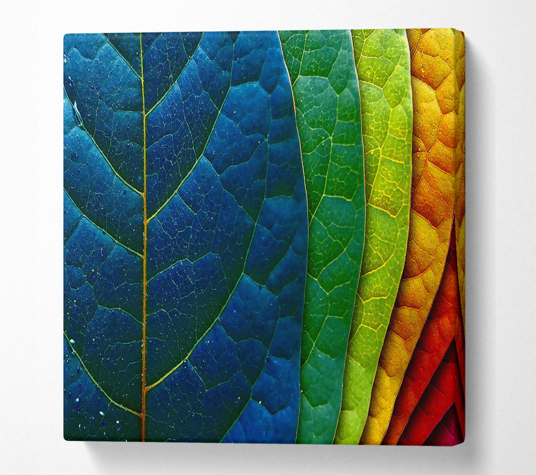  A Canvas Print of Colourful Leaves Canvas Wall Art