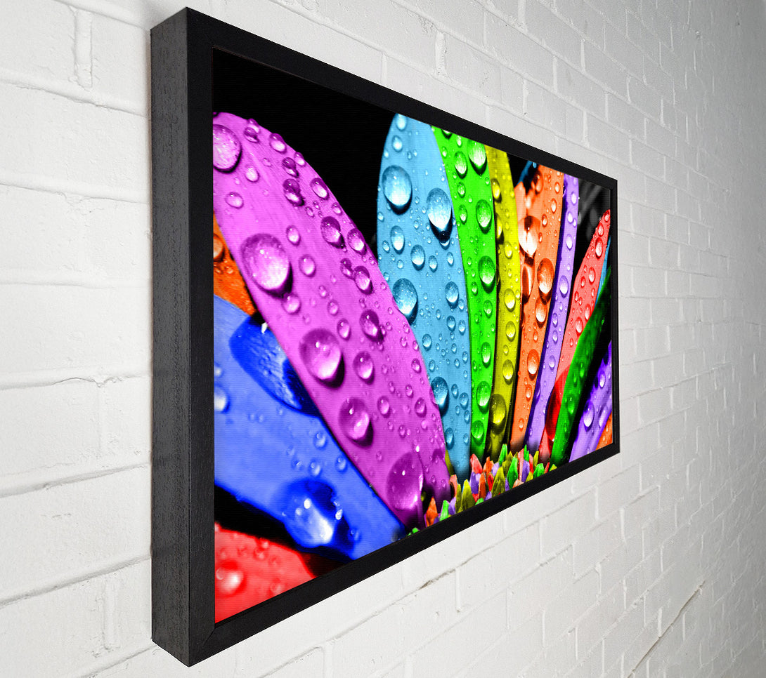  A Canvas Print of Colourful Flower Canvas Print