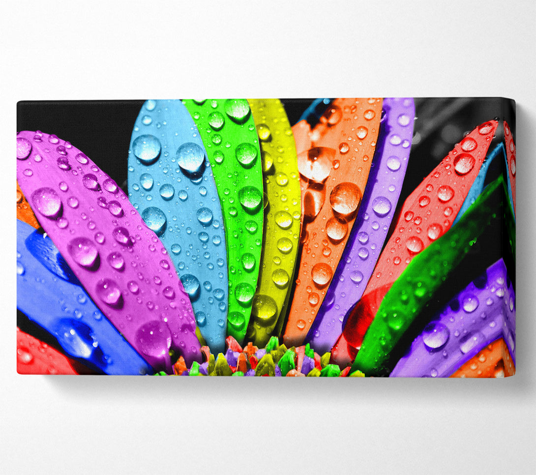  A Canvas Print of Colourful Flower Canvas Print