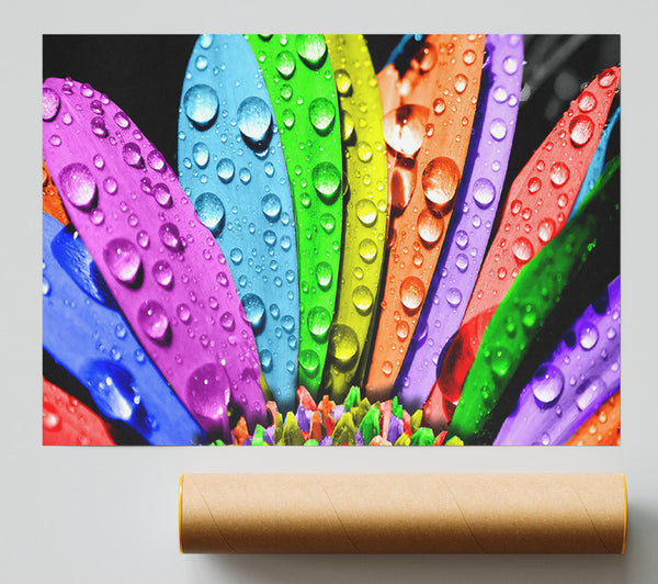 Colourful Flower Giclee Print