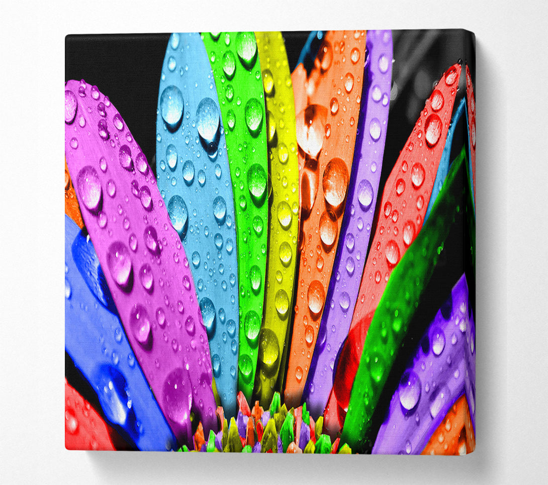  A Canvas Print of Colourful Flower Canvas Print