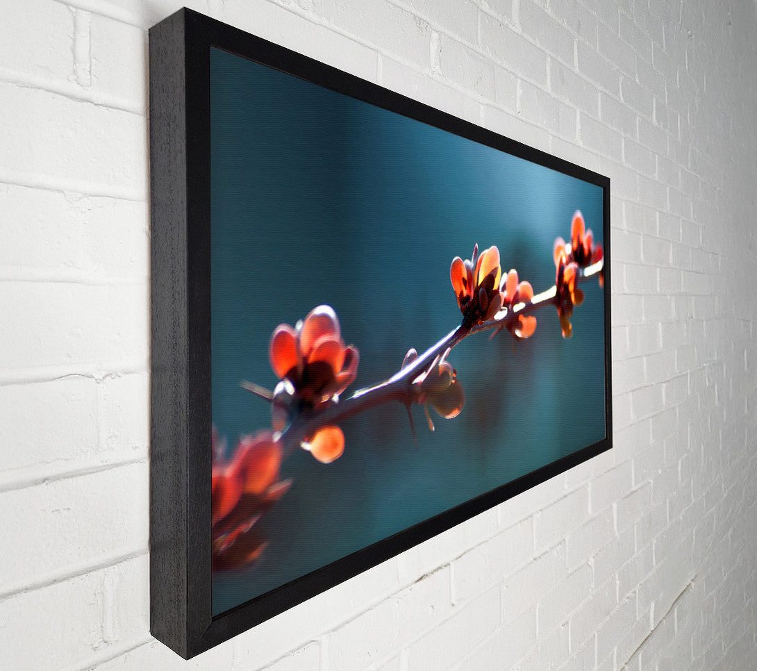  A Canvas Print of Spikey Flower Branch Canvas Art