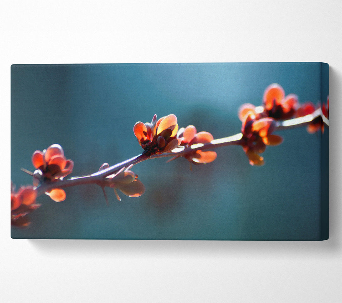  A Canvas Print of Spikey Flower Branch Canvas Art