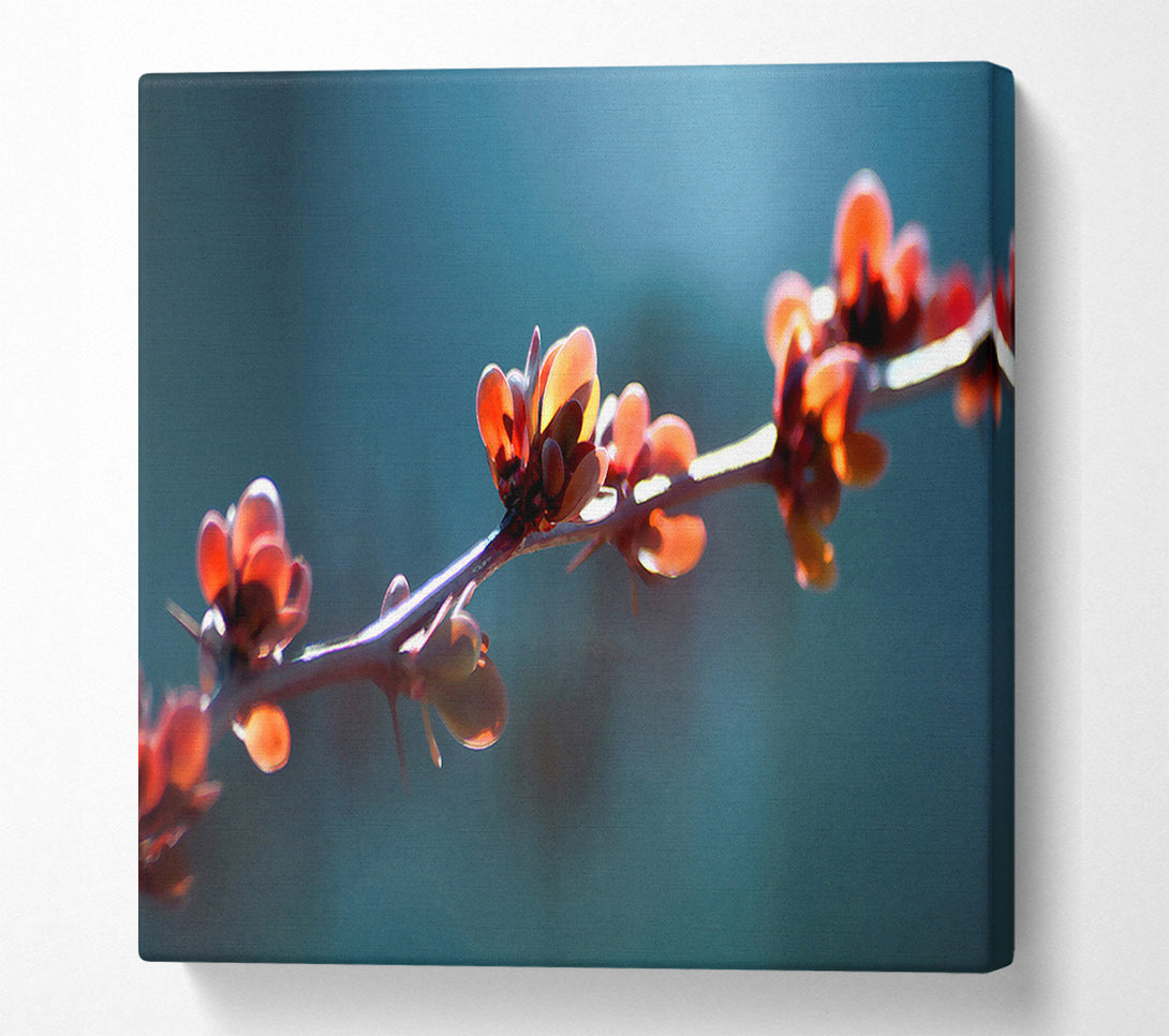  A Canvas Print of Spikey Flower Branch Canvas Art