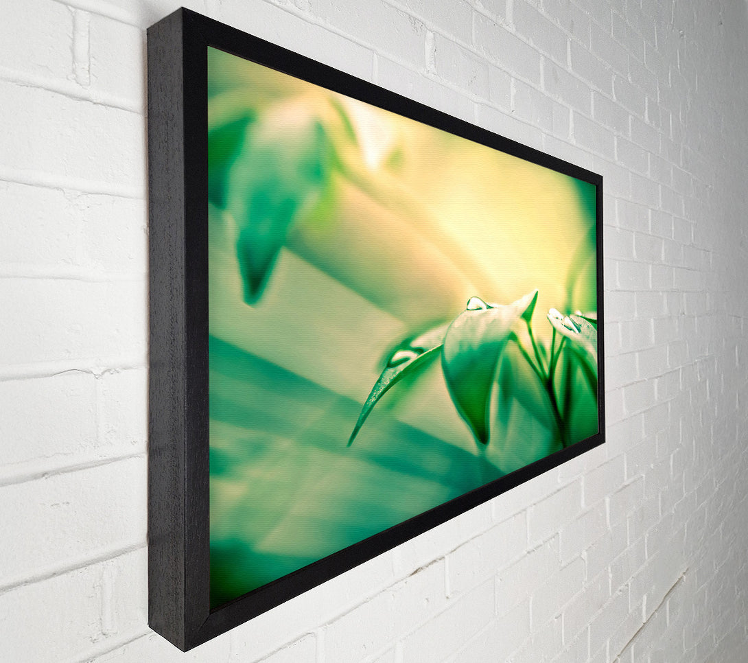  A Canvas Print of You Are Beautiful Canvas Art