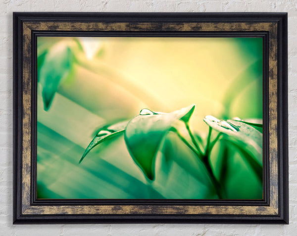 You Are Beautiful Framed Print