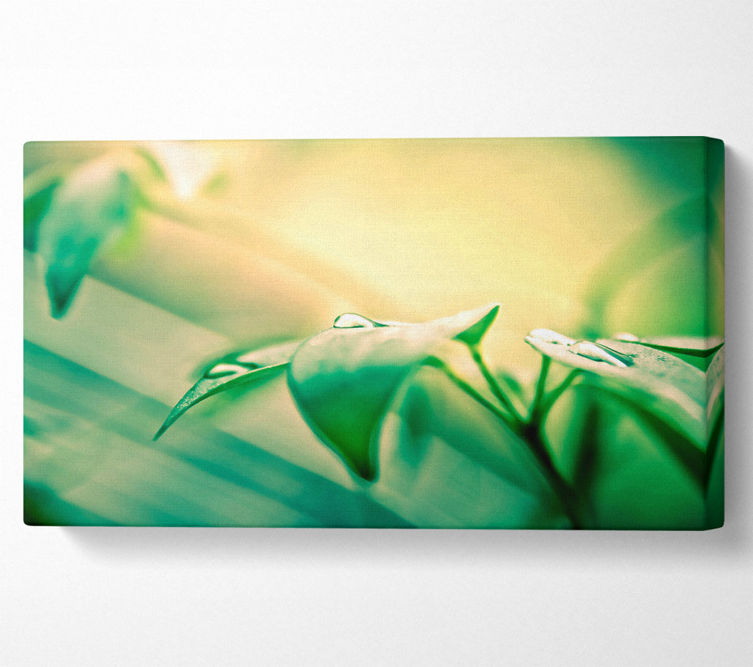  A Canvas Print of You Are Beautiful Canvas Art