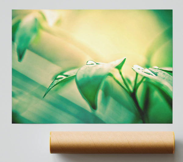 You Are Beautiful Print
