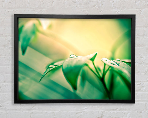 You Are Beautiful Framed Print