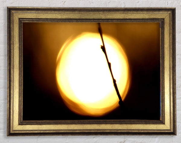 Light Framed Print