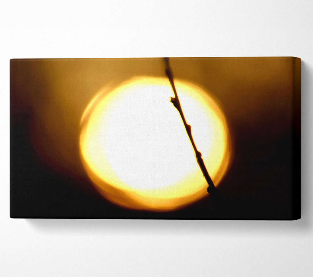  A Canvas Print of Light Canvas Print