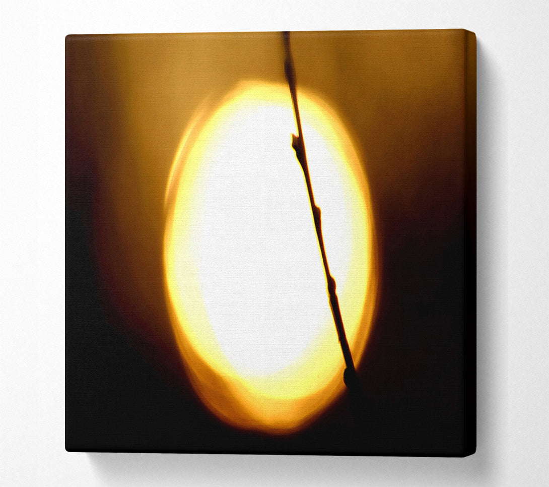  A Canvas Print of Light Canvas Print