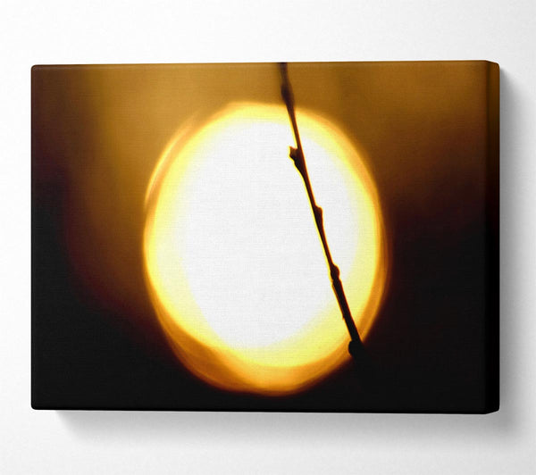  A Canvas Print of Light Canvas Print