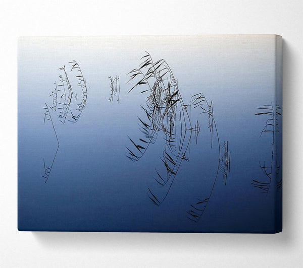  A Canvas Print of Pond Reeds Canvas Art